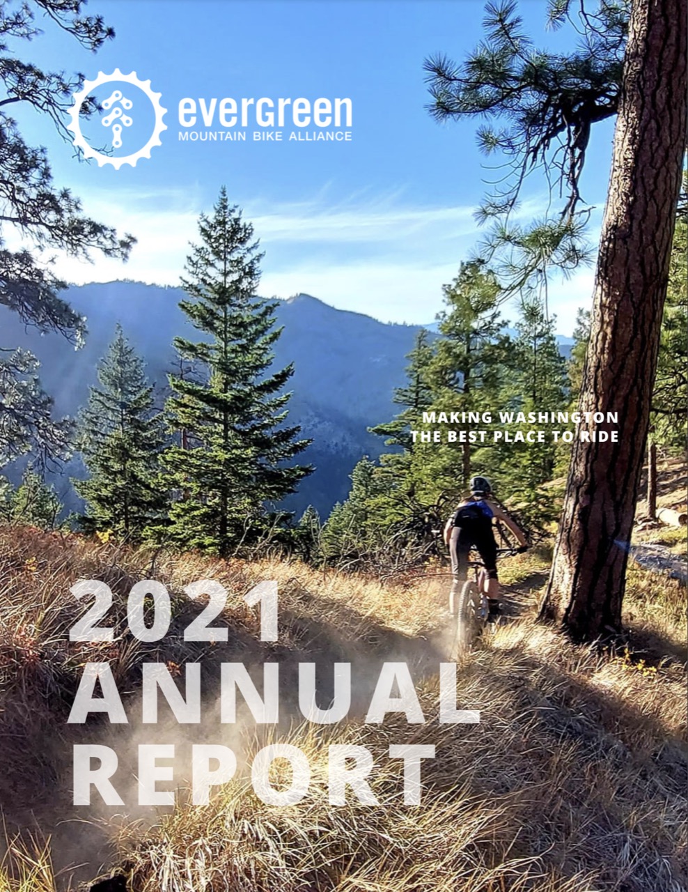 2021 report