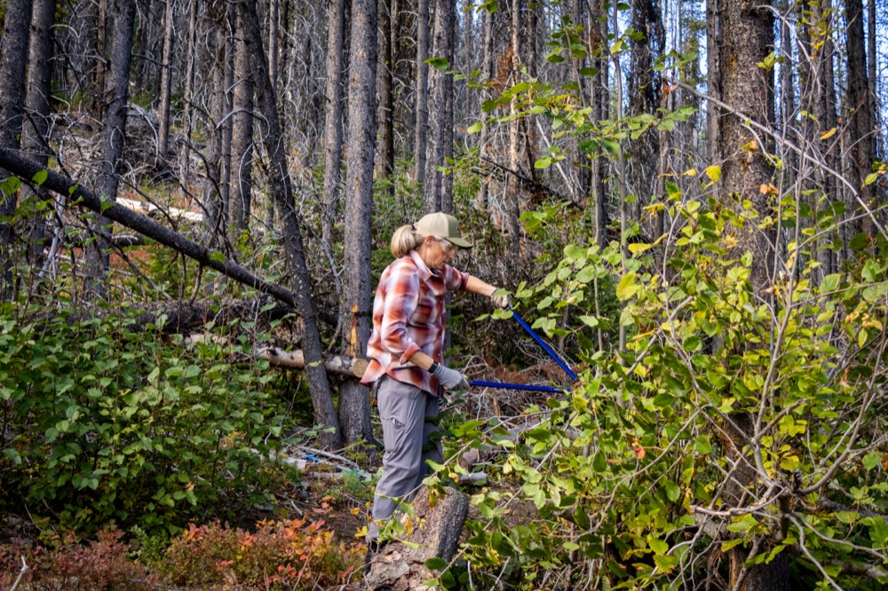 2025-10-10-vivika-stamolis_larch-fest-kettle-crest-25-041-001.jpg