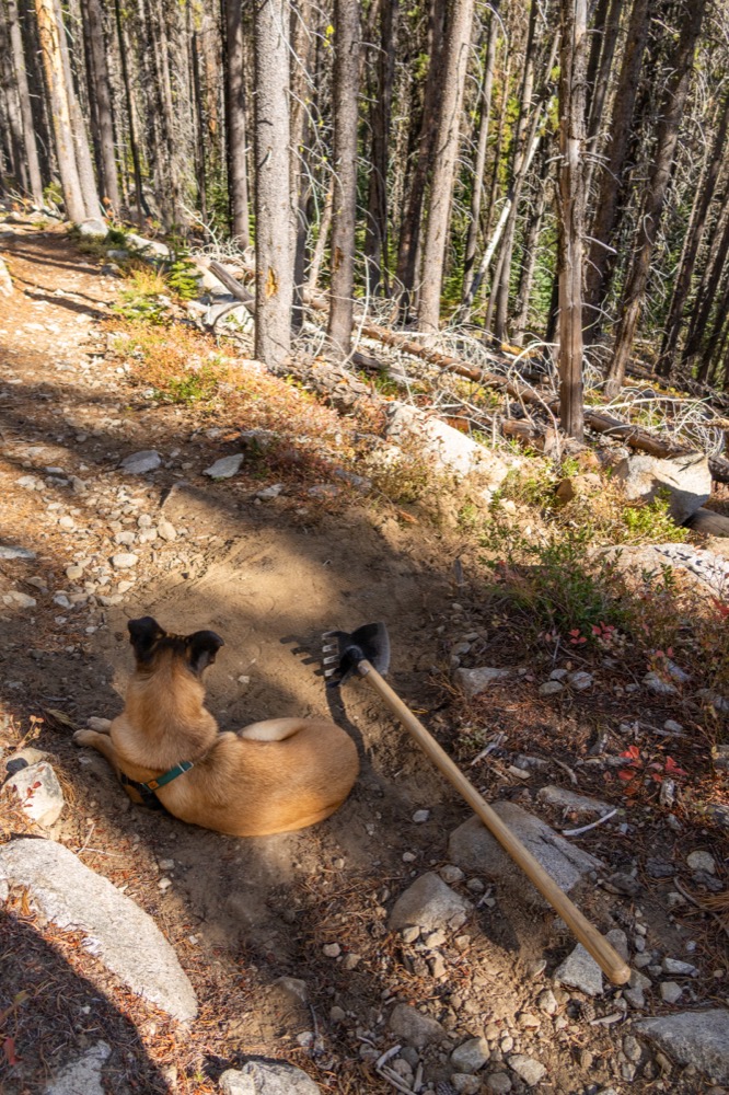 2025-10-10-vivika-stamolis_larch-fest-kettle-crest-25-050-001.jpg