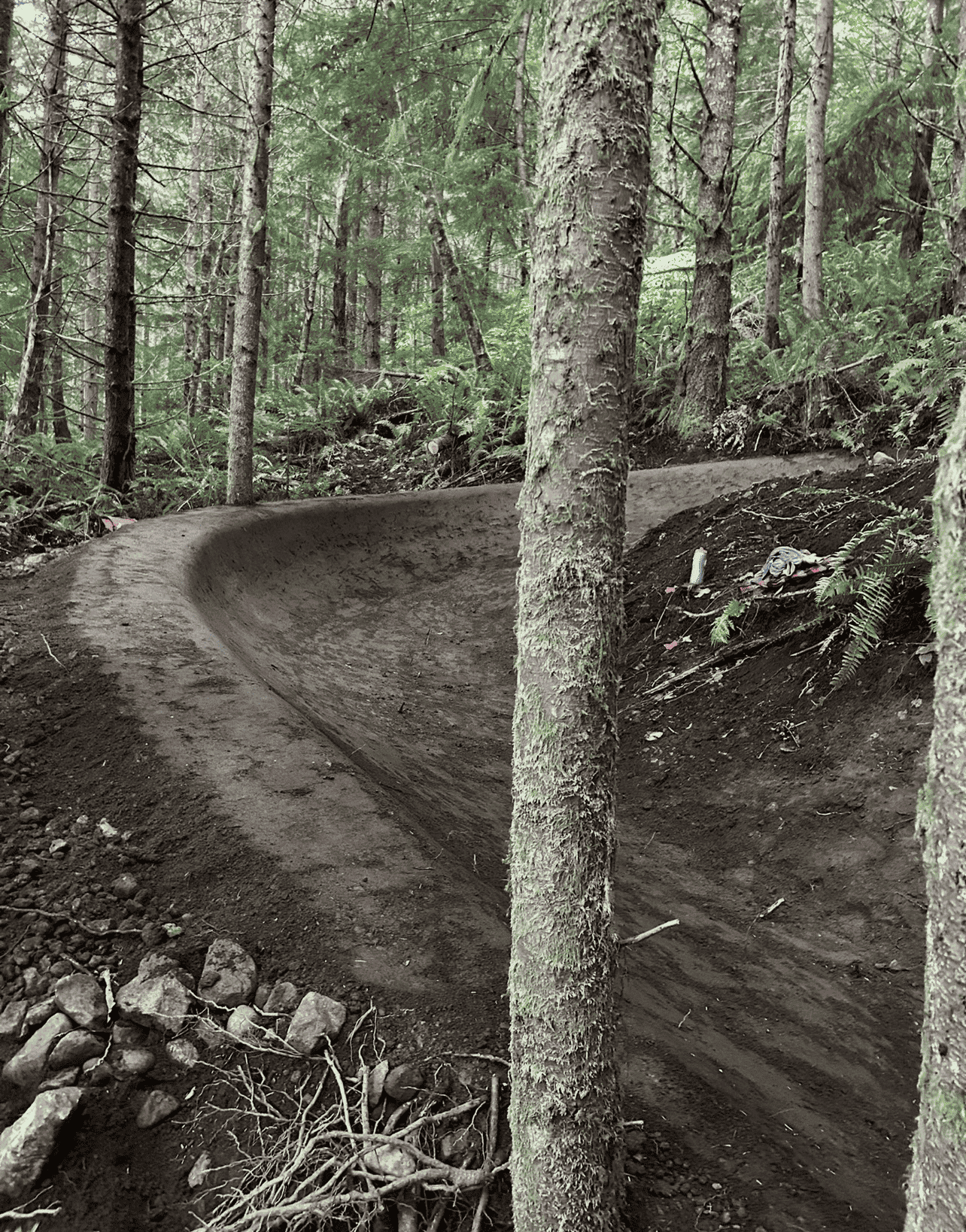 trail E berm min 1 1