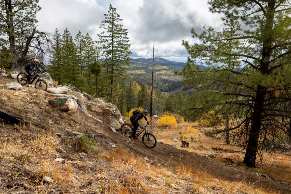 2026-05-21-vivika-stamolis_oh-bother_louploup_methow_2025-040-001.jpg