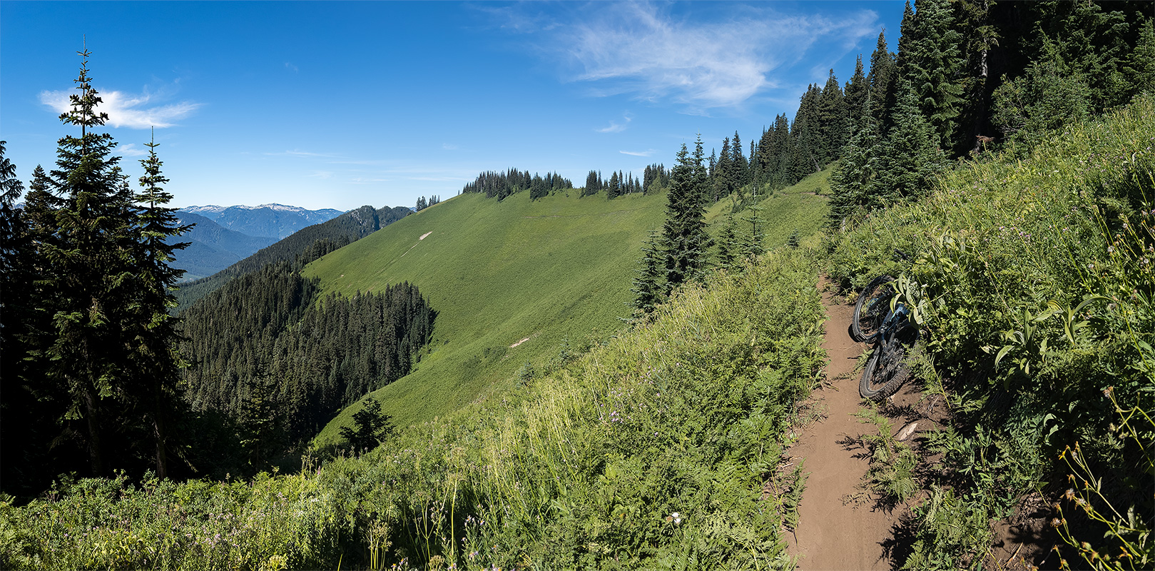 Alpine Baldy 8.22 044 Pano