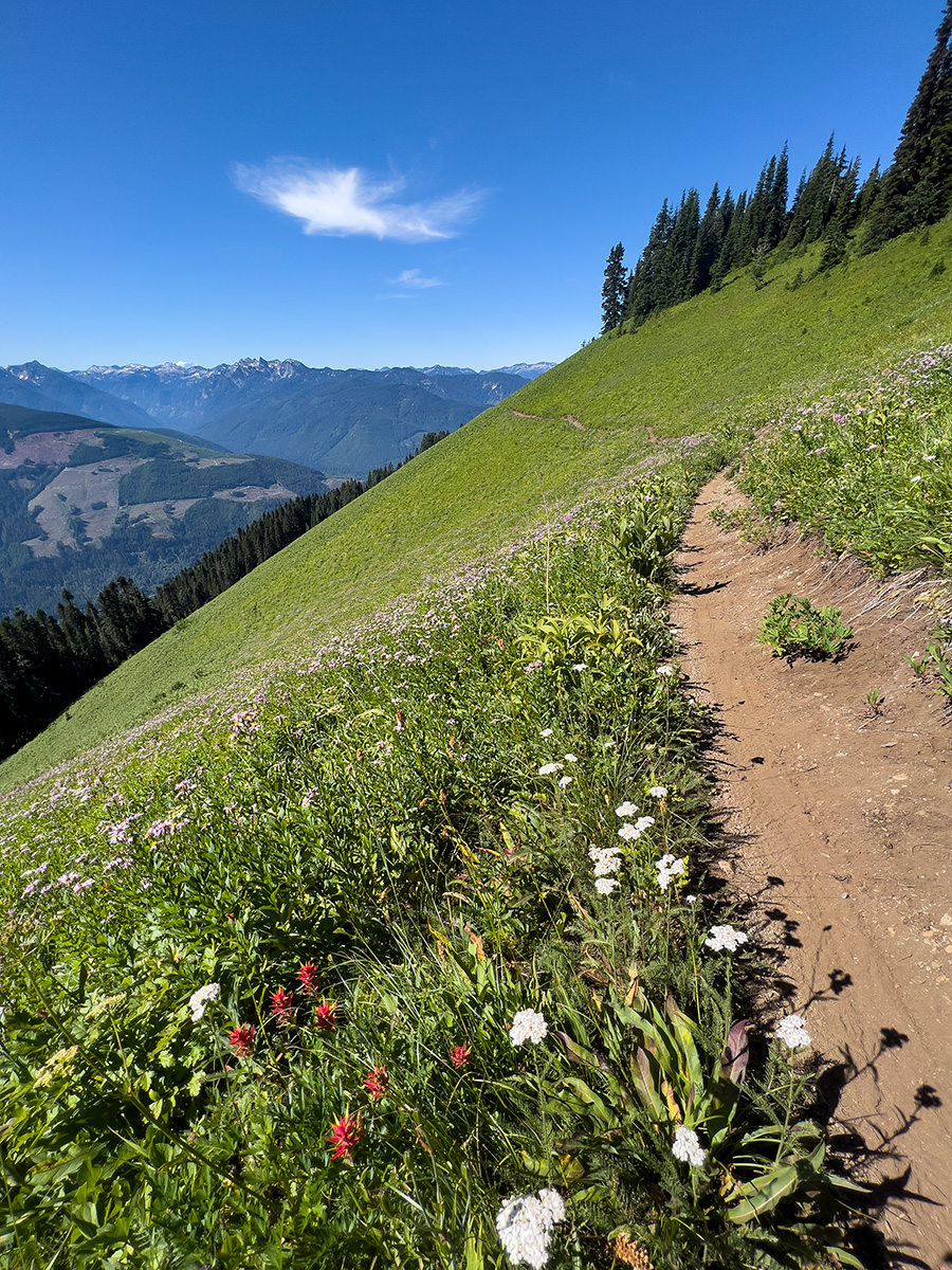 Alpine Baldy 8.22 058