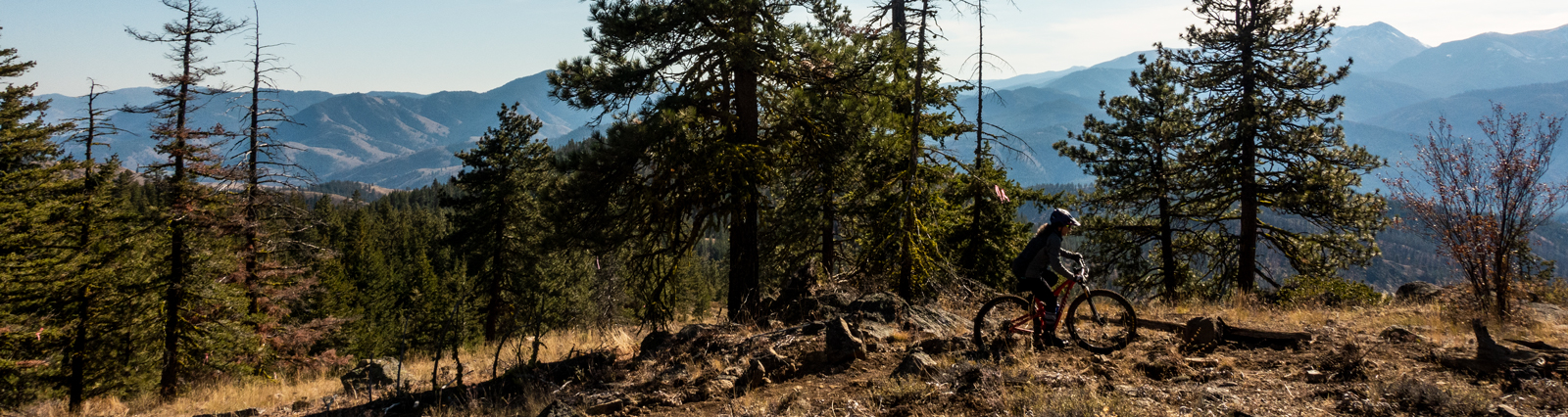 The Essential Guide for Beginner Mountain Bikers in Washington
