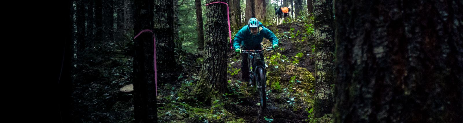 Evergreen’s 30th Anniversary Year Promises Bonanza of Trail Projects