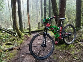 Christmas Joy Ride