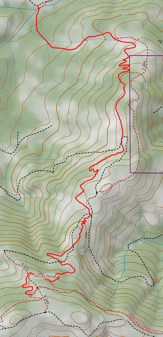 New windy ridge