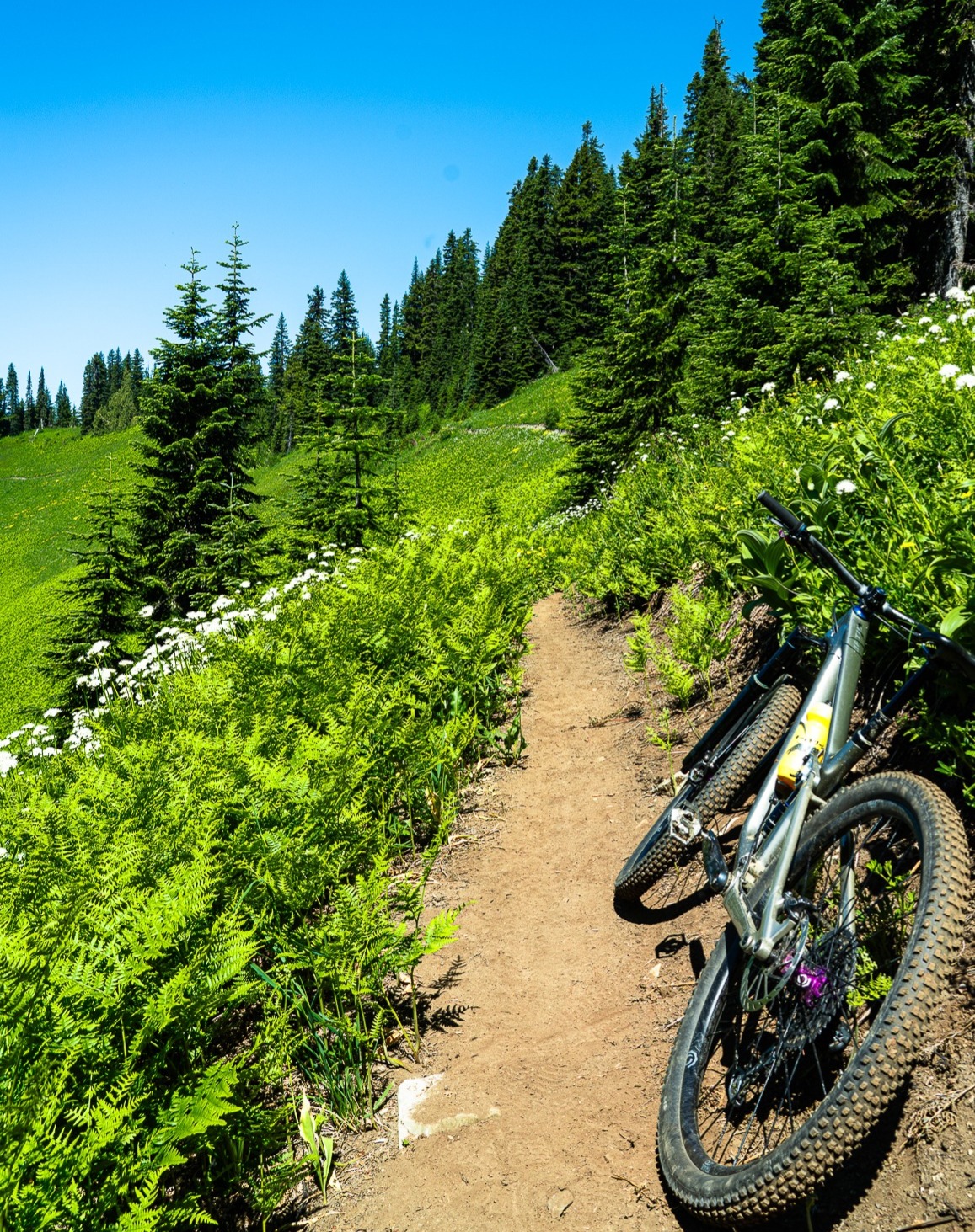Alpine baldy 1