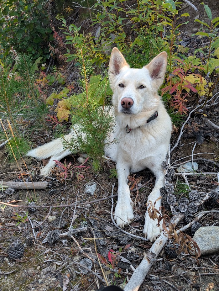 CANCELLED!!! Raging River maintenance dig day