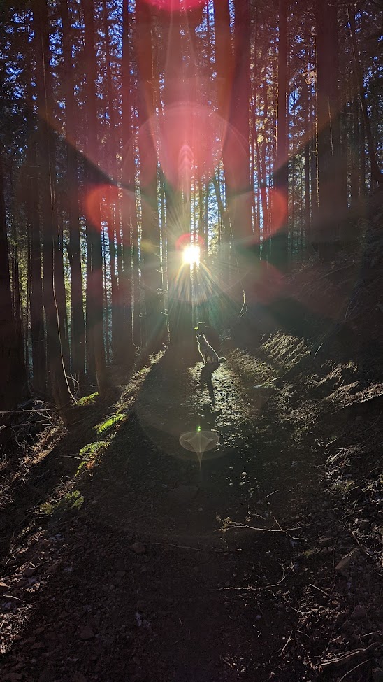 Raging 2023 Mt Si