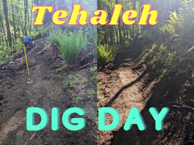 Tehaleh Dig Day