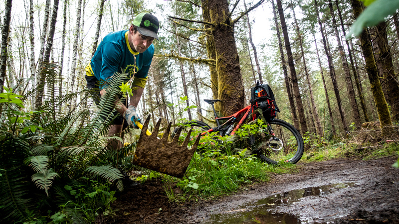 TrailSchoolBanner 800px