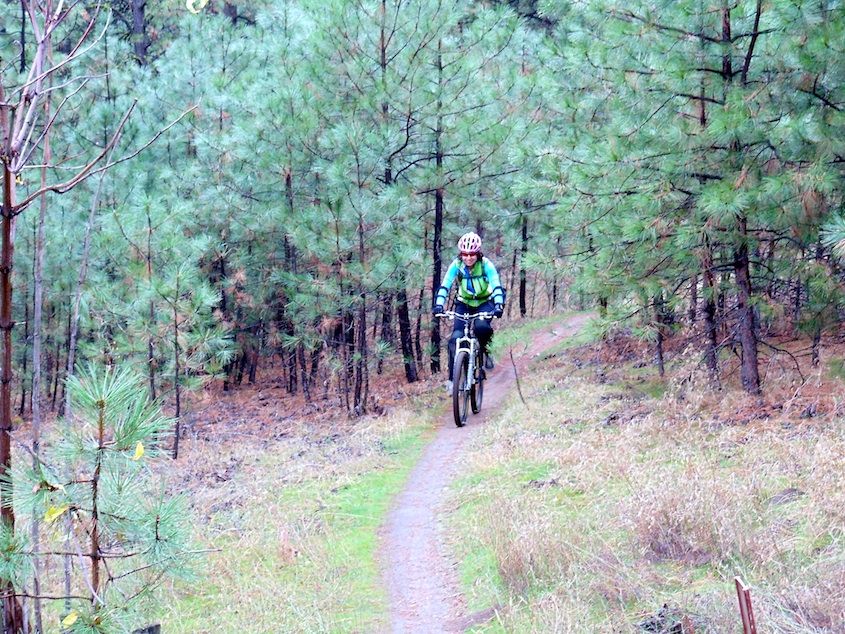 Beacon hill mountain bike trails hotsell