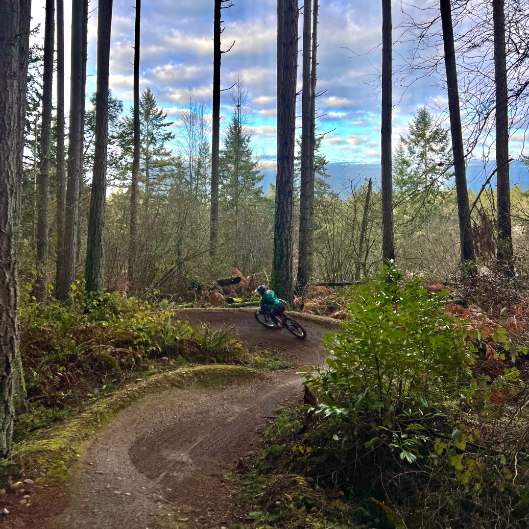 Trail Tuesday Highlight: Swan Creek in Tacoma