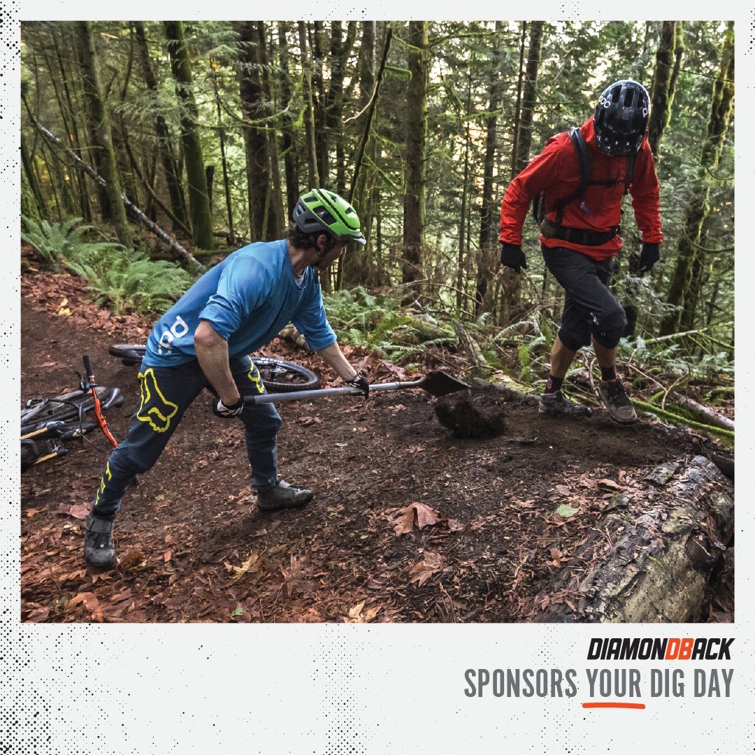 diamondback sponsors your dig day 3