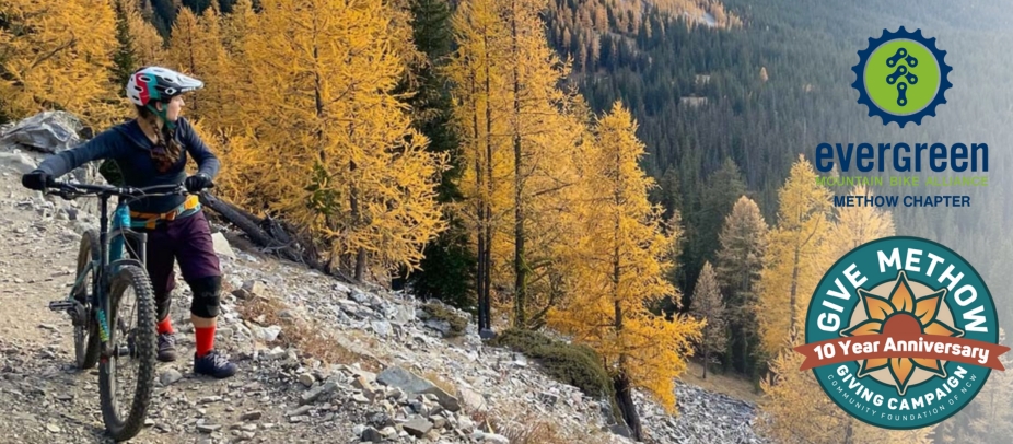 givemethowchapter.jpg