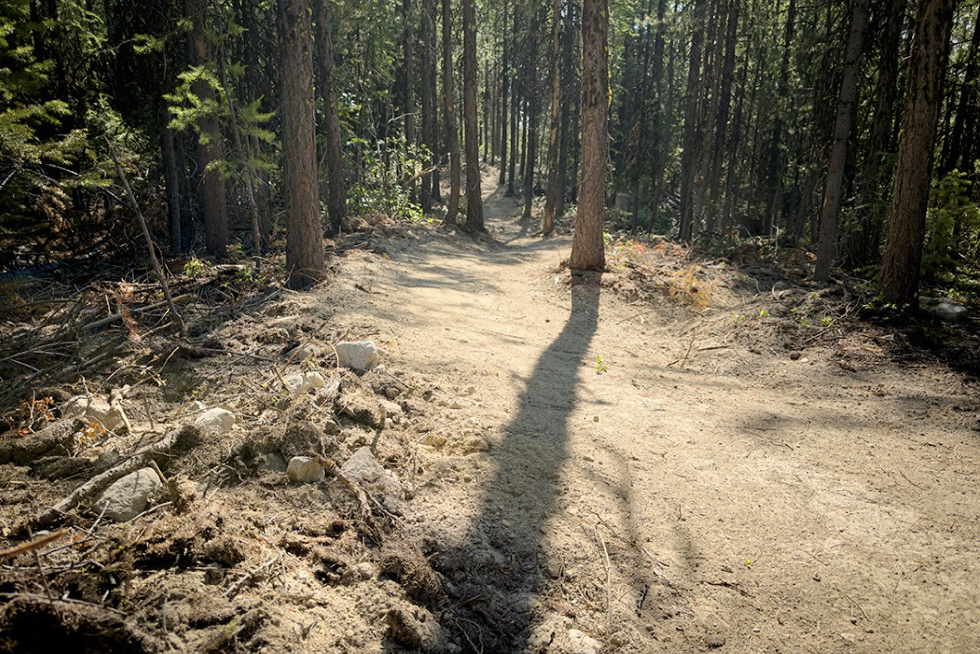 loup-new-green-trail-1.png