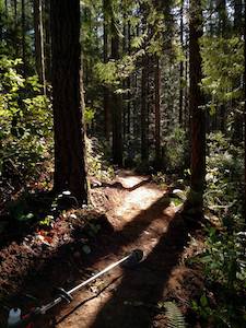 Evergreen West Sound April Newsletter
