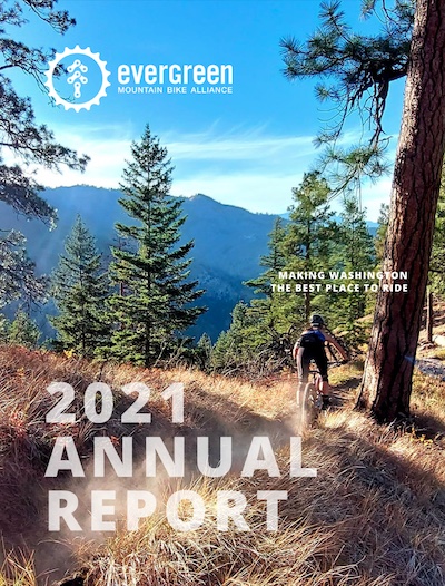 2019 annual report thumbnail