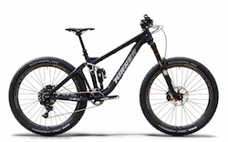 evergreen bike