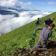 Volunteers at Alpine Baldy