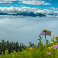 Alpine Baldy Trail View