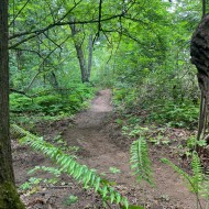 Perimeter Loop at Cedar Lanes Park