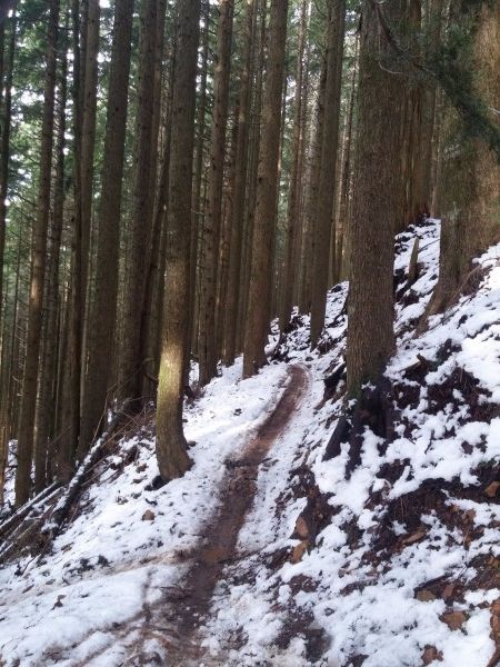Upper Summit Trail