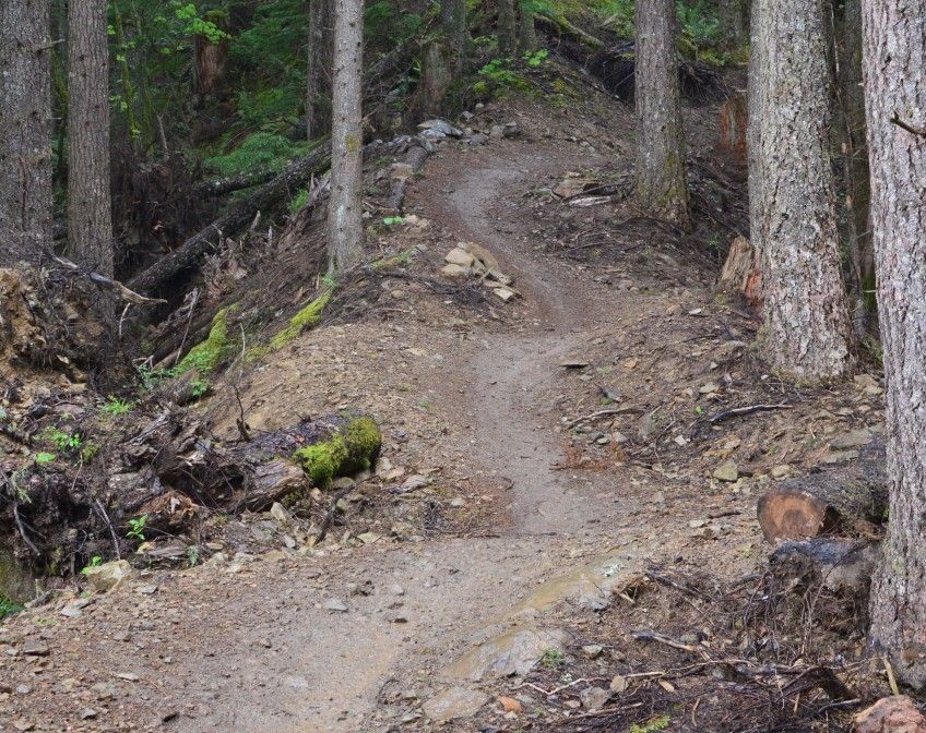 olallie mtb trail