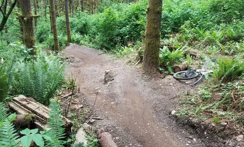 This is the first jump set on the Lower Wishbone extension trail.