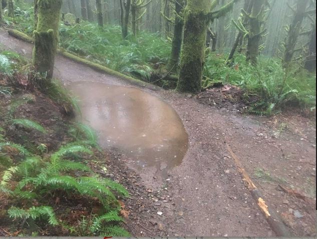The first dipping berm on wishbone filled with rain.
