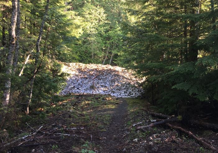Avalanche debris field at Meadow Drainage
