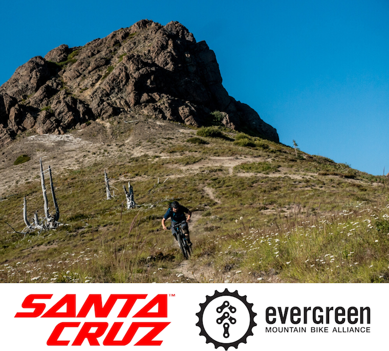 santa cruz emba work party design