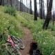 W. Fork Methow - starting the push to the Crest Trail