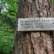 W. Fork Methow - at the Crest Trail intersection