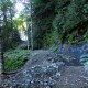 Road to trail conversion