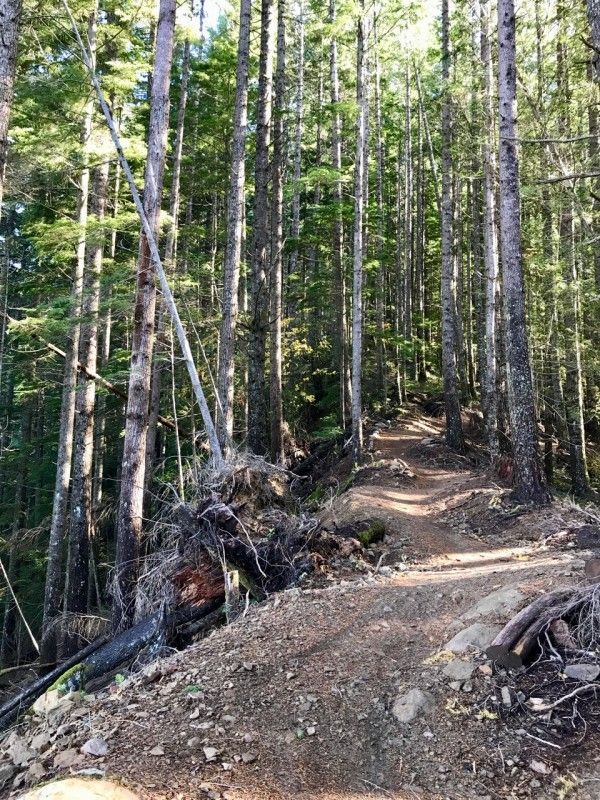 olallie mtb trail