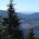 Ranier from road at 2900 ft