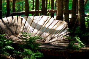 Snoqualmie Bike Park