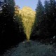 20130719_201634small.jpg