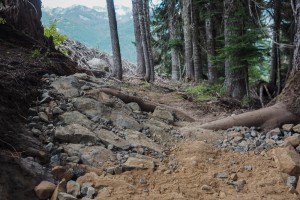 The Summit at Snoqualmie trail work in progress