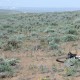 Cowiche Canyon - on the rim