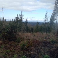 Clearcut near top